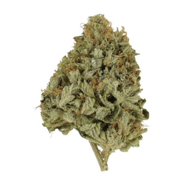 Pineapple Kush | CannaCured Canada