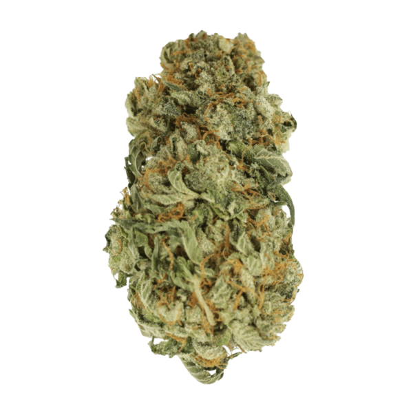King Louis – 1 ounce | CannaCured Canada