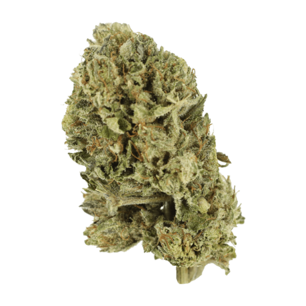 Purple OG Kush – 1 ounce | CannaCured Canada