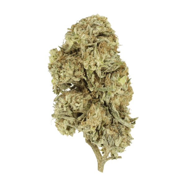 Cherry Wine (CBD) | CannaCured Canada