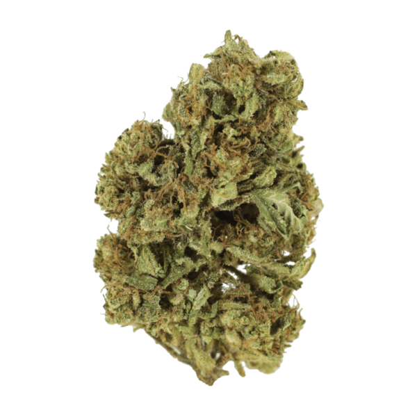 Cherry Wine (CBD) | CannaCured Canada