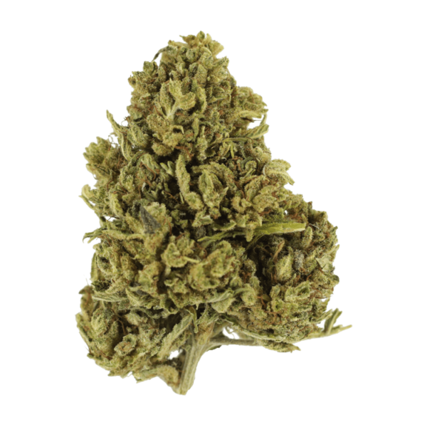 Cherry Wine (CBD) | CannaCured Canada