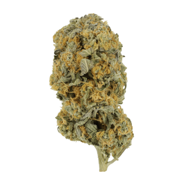 Sour Prince | CannaCured Canada