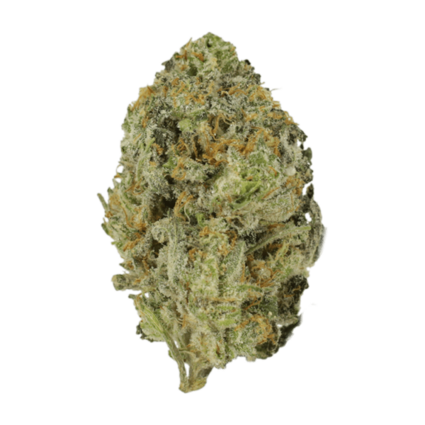 Skywalker OG | CannaCured Canada