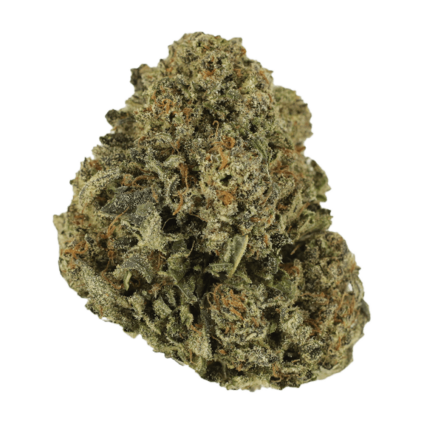 Blue Haze | CannaCured Canada