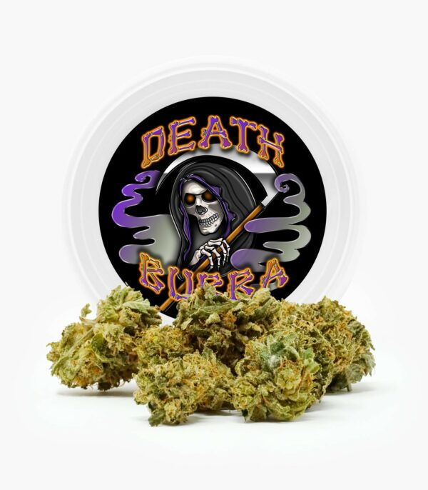 Westcoast Cali Tins – Premium Flower – Skywalker OG – 3.5g | CannaCured Canada