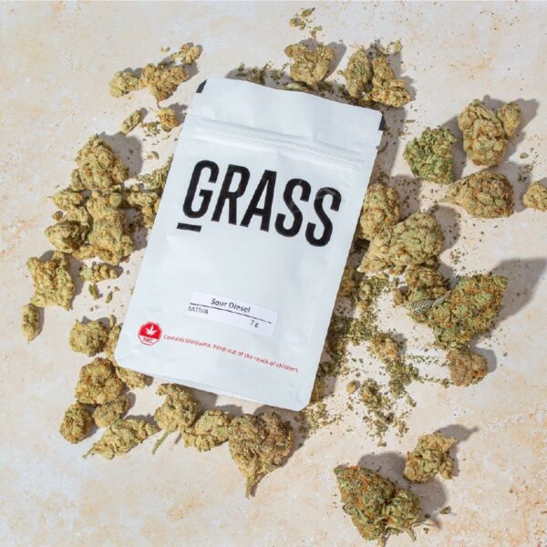 1/2OZ Sample Pack (AAA) – SAVE 20% | CannaCured Canada