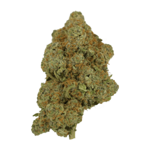 Tropicana Cookies | CannaCured Canada