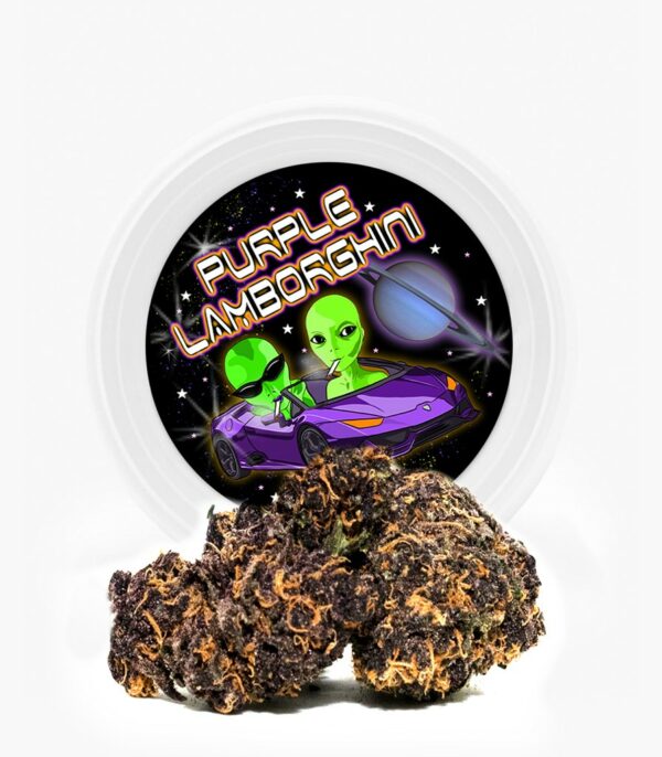 Westcoast Cali Tins – Premium Flower – Purple Lamborghini – 3.5g | CannaCured Canada