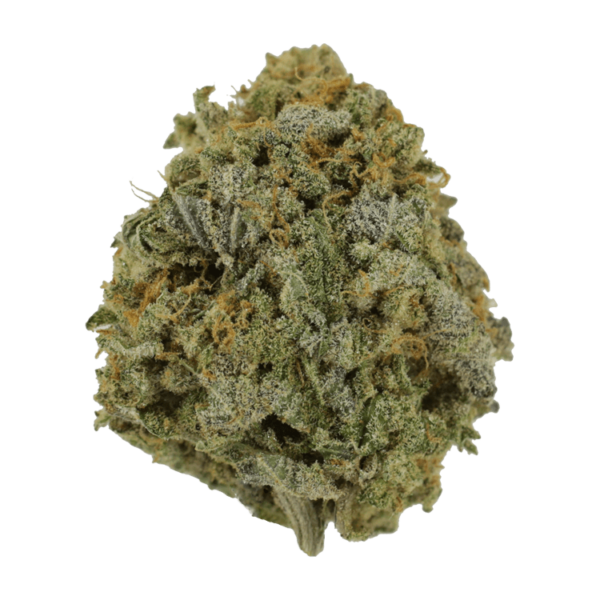 Pink Tuna (Popcorn) – $40/oz | CannaCured Canada
