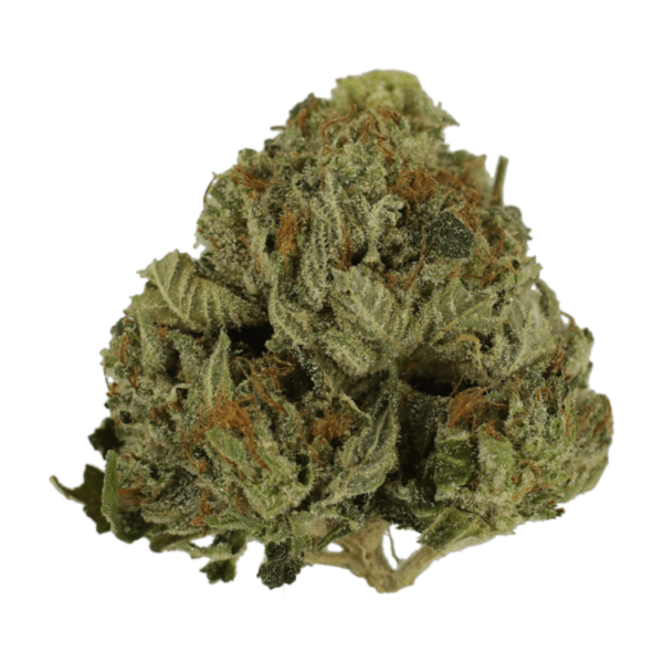 Pink Animal – 1 ounce | CannaCured Canada