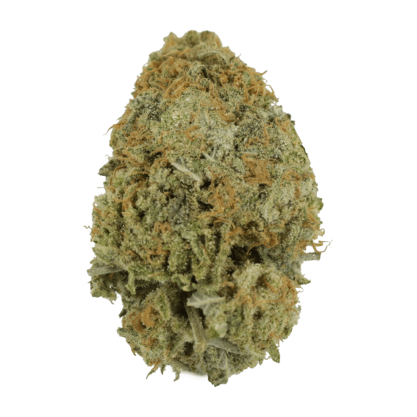Pink Tuna (Popcorn) – $40/oz | CannaCured Canada