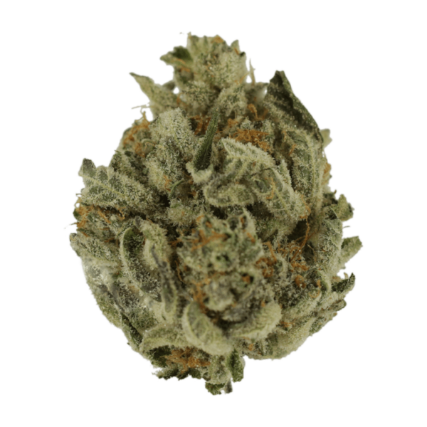 Biscotti Sundae | CannaCured Canada