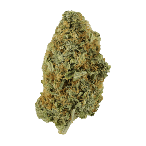 Purple Tuna – 1 ounce | CannaCured Canada
