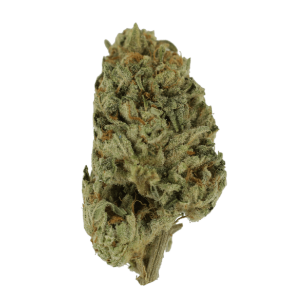 Biscotti Sundae | CannaCured Canada