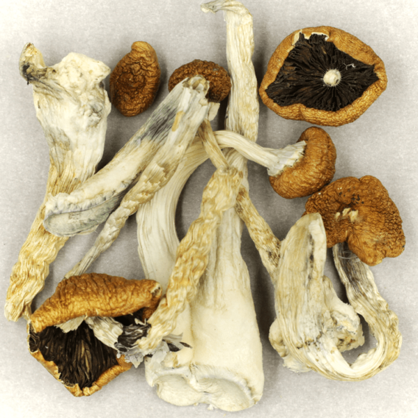 Treasure Coast | CannaCured Canada