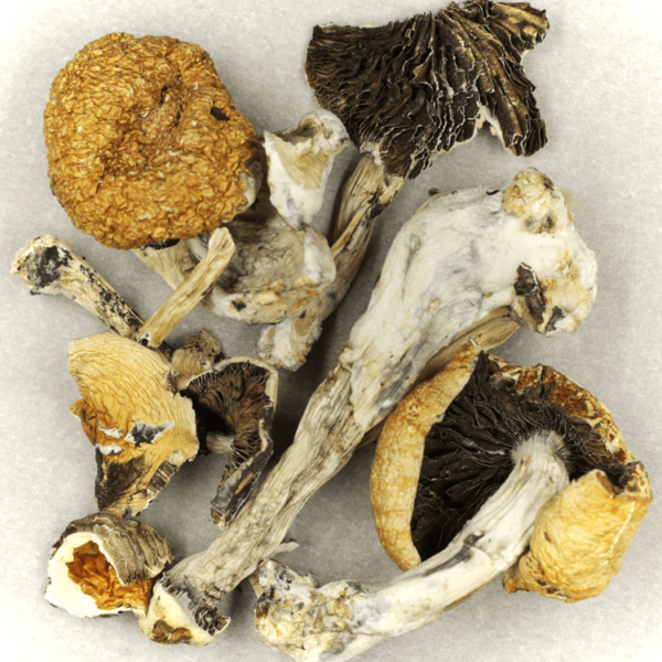Treasure Coast | CannaCured Canada