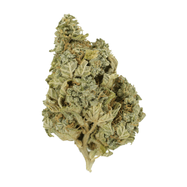 Khalifa Kush | CannaCured Canada