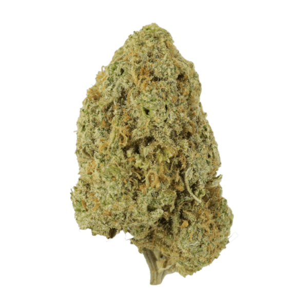 Sugar Pine | CannaCured Canada
