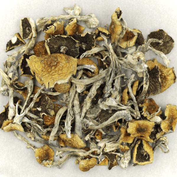 Florida White | CannaCured Canada
