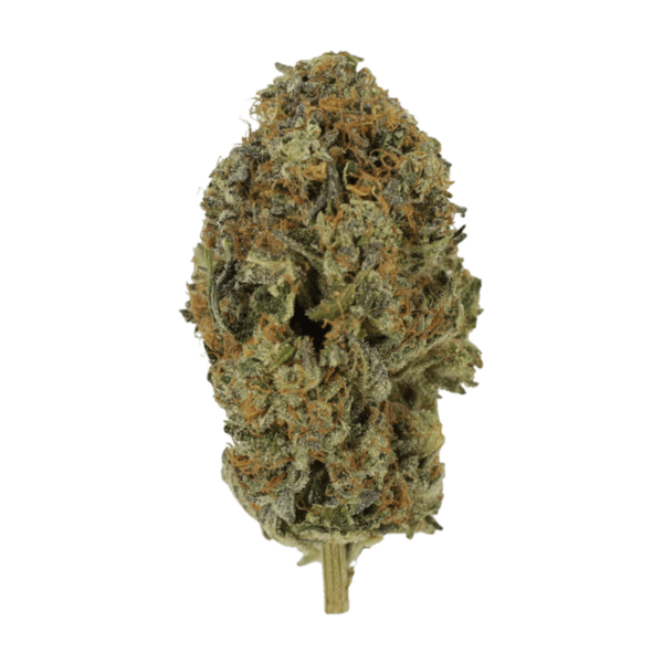 Acapulco Gold | CannaCured Canada