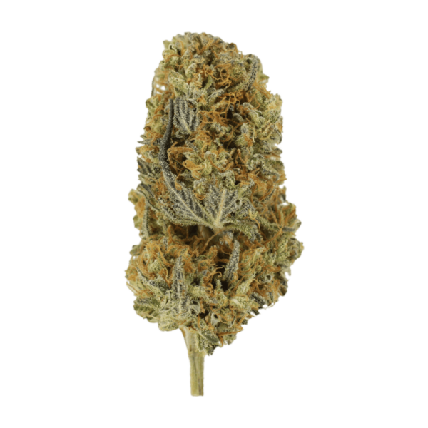Headband | CannaCured Canada
