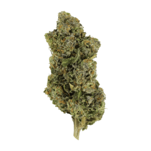 Jokerz | CannaCured Canada