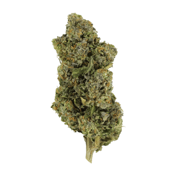 Jokerz | CannaCured Canada