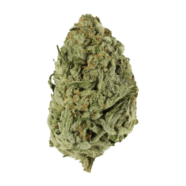 Lemon Meringue 1 Ounce | CannaCured Canada