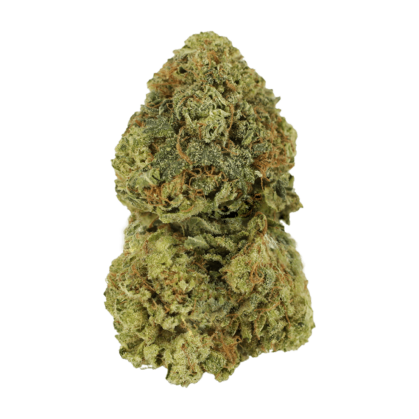 Critical Mass | CannaCured Canada
