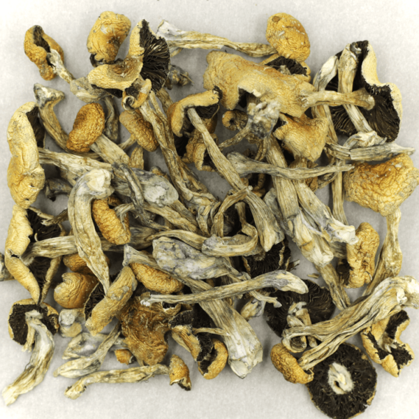 Puerto Rican | CannaCured Canada