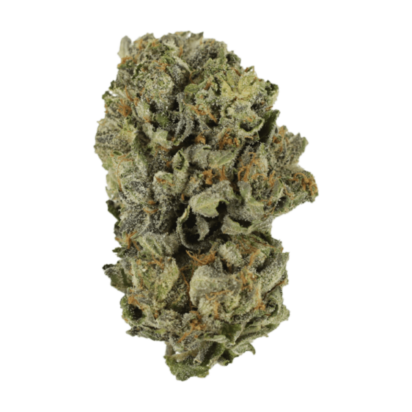 Cerebro Haze | CannaCured Canada