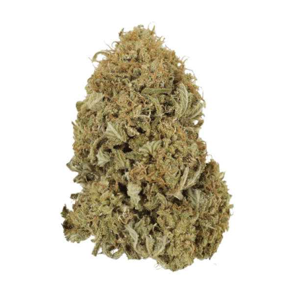 G13 | CannaCured Canada
