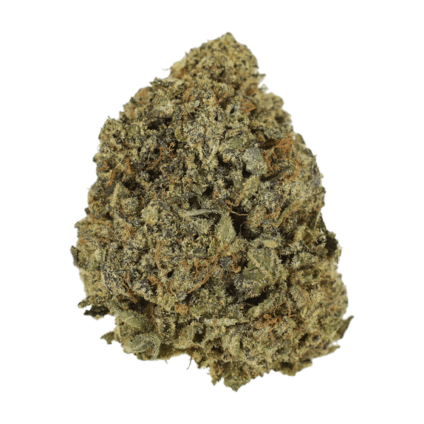 G13 | CannaCured Canada