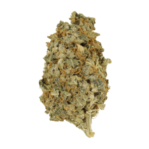 Mint Cookies | CannaCured Canada