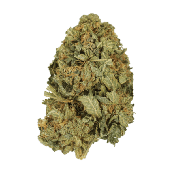 G13 | CannaCured Canada