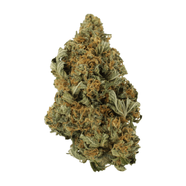God’s Bubba | CannaCured Canada
