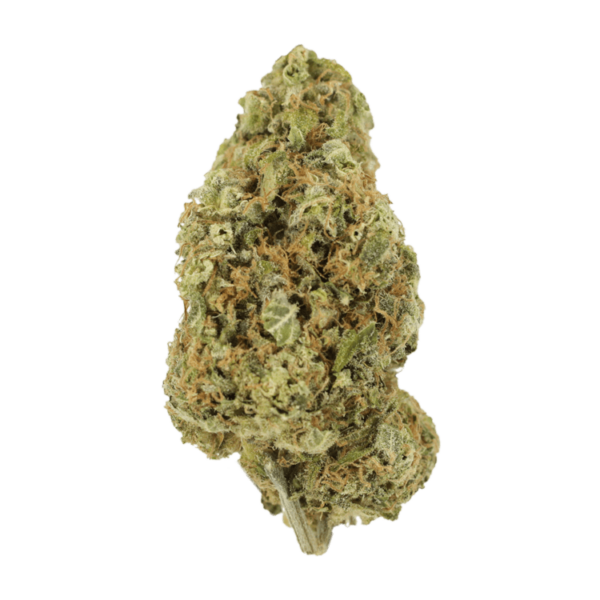 Sour Jack | CannaCured Canada