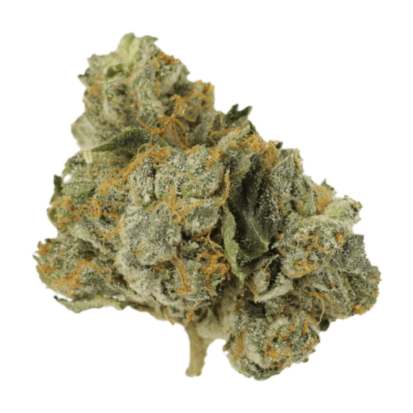 Mango Cream | CannaCured Canada