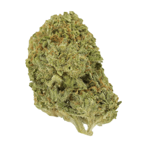 Mango Cream | CannaCured Canada