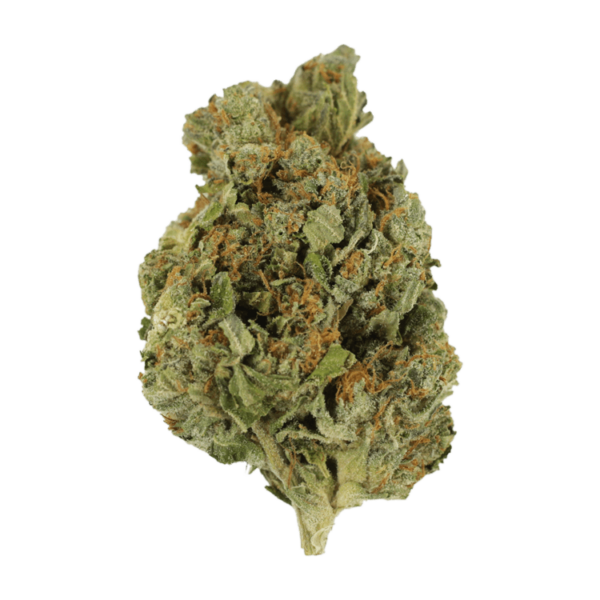 Mango Cream | CannaCured Canada
