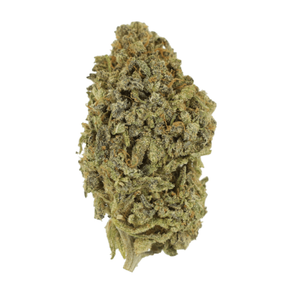 Watermelon Gelato | CannaCured Canada