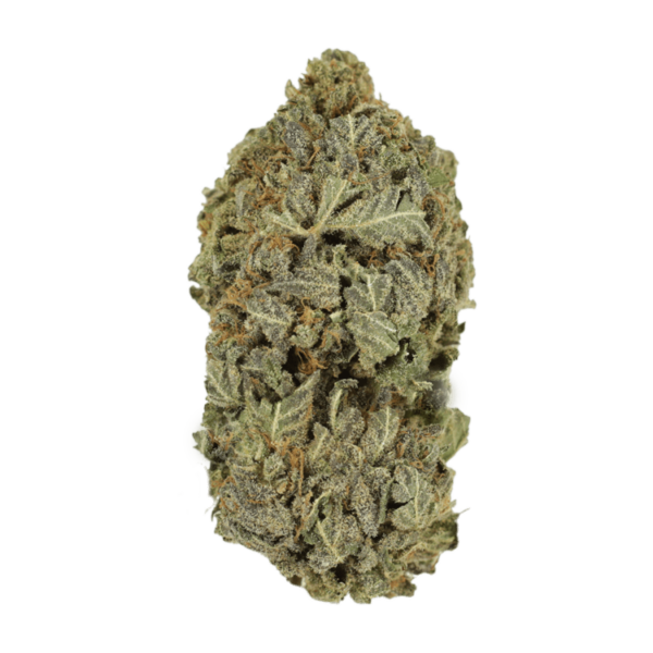 Purple Dream | CannaCured Canada