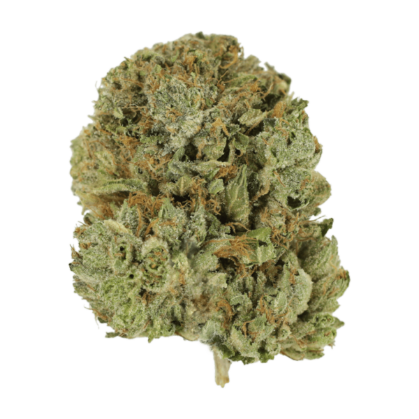 Pink Taco | CannaCured Canada