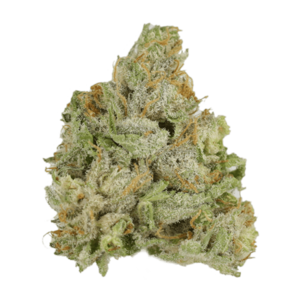 El Jefe | CannaCured Canada