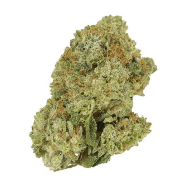 Malawi Gold | CannaCured Canada