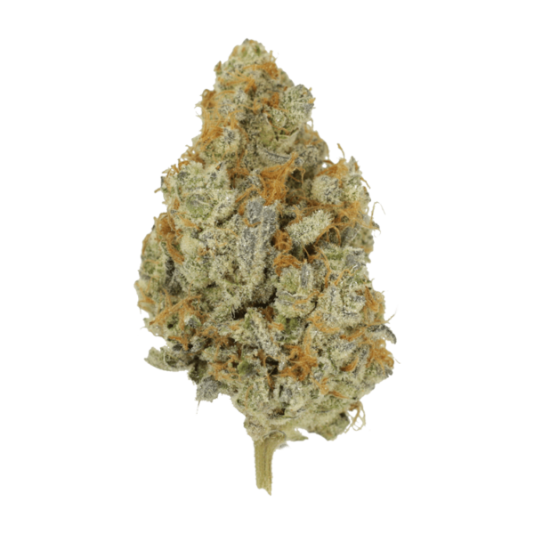 Peanut Butter Rockstar | CannaCured Canada