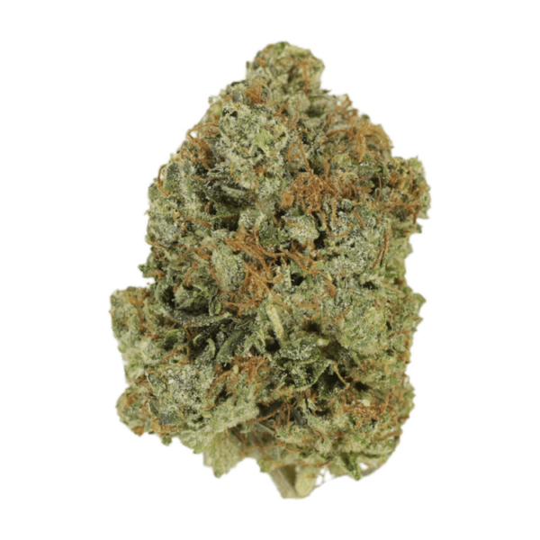 Jack Herer (popcorn) | CannaCured Canada