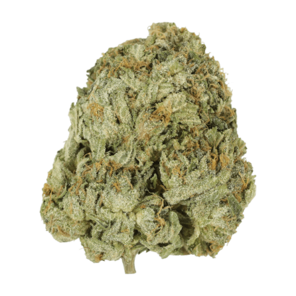 Godzilla Glue | CannaCured Canada