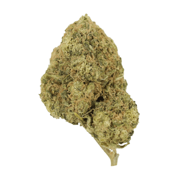 Laughing Buddha | CannaCured Canada